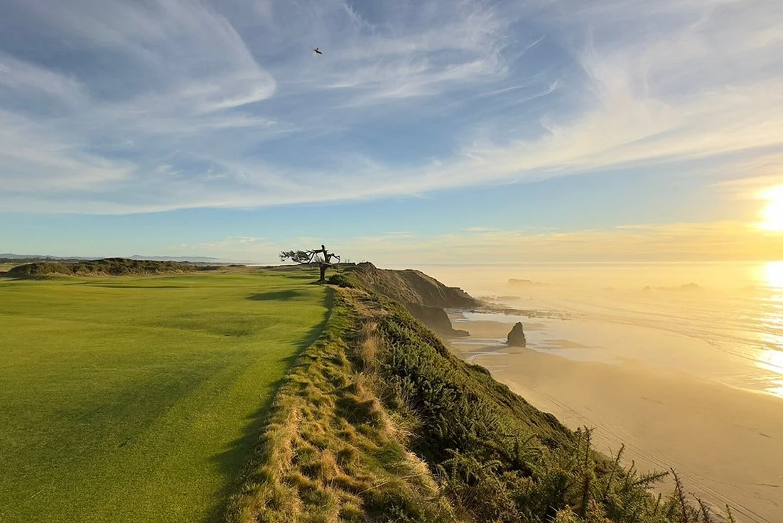 Green field infront of beach at bandon dunes